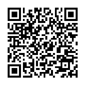Link naar je actie QRCode - Fondswerving
