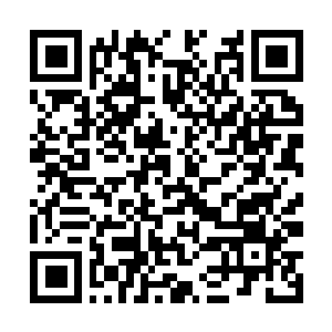 Link naar je actie QRCode - Fondswerving