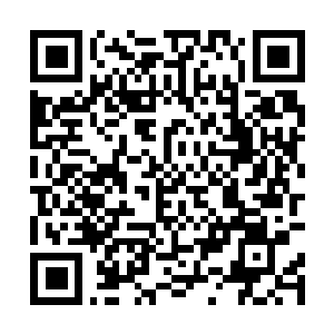Link naar je actie QRCode - Fondswerving