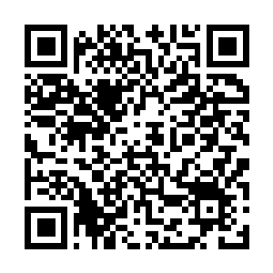 Link naar je actie QRCode - Fondswerving