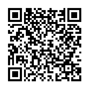 Link naar je actie QRCode - Fondswerving