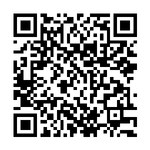 Link naar je actie QRCode - Fondswerving