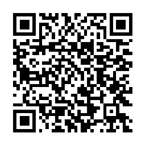 Link naar je actie QRCode - Fondswerving