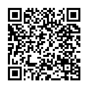 Link naar je actie QRCode - Fondswerving