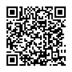 Link naar je actie QRCode - Fondswerving