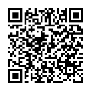 Link naar je actie QRCode - Fondswerving