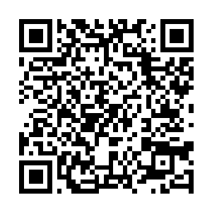 Link naar je actie QRCode - Fondswerving