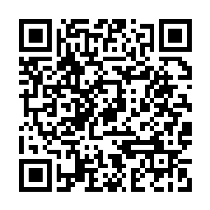 Link naar je actie QRCode - Fondswerving