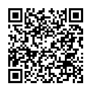 Link naar je actie QRCode - Fondswerving
