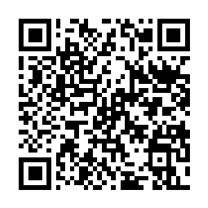 Link naar je actie QRCode - Fondswerving