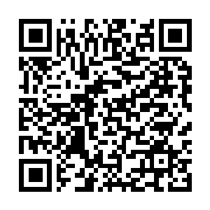 Link naar je actie QRCode - Fondswerving