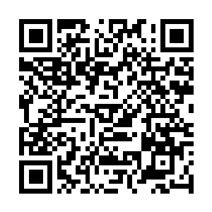 Link naar je actie QRCode - Fondswerving