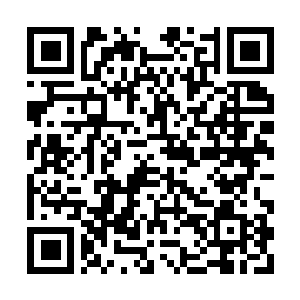 Link naar je actie QRCode - Fondswerving