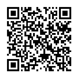 Link naar je actie QRCode - Fondswerving