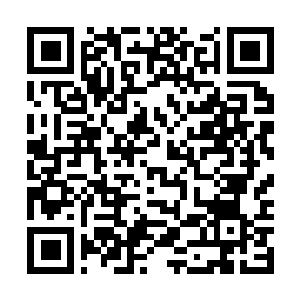 Link naar je actie QRCode - Fondswerving