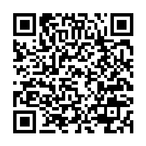 Link naar je actie QRCode - Fondswerving