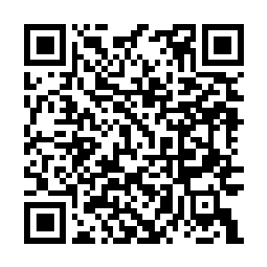Link naar je actie QRCode - Fondswerving