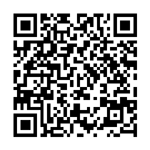 Link naar je actie QRCode - Fondswerving