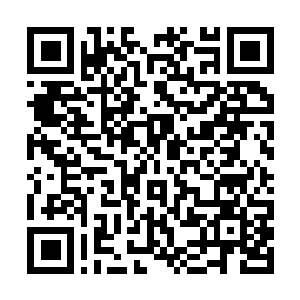 Link naar je actie QRCode - Fondswerving