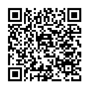 Link naar je actie QRCode - Fondswerving