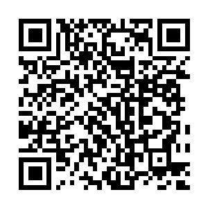Link naar je actie QRCode - Fondswerving