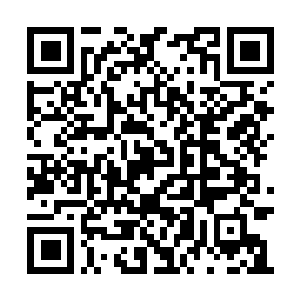 Link naar je actie QRCode - Fondswerving
