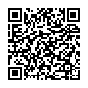 Link naar je actie QRCode - Fondswerving