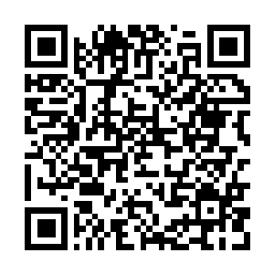 Link naar je actie QRCode - Fondswerving