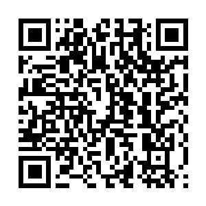 Link naar je actie QRCode - Fondswerving