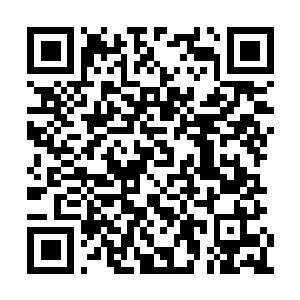 Link naar je actie QRCode - Fondswerving
