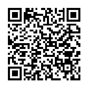 Link naar je actie QRCode - Fondswerving