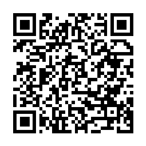 Link naar je actie QRCode - Fondswerving