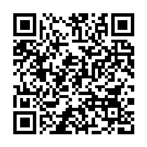 Link naar je actie QRCode - Fondswerving
