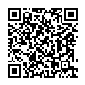 Link naar je actie QRCode - Fondswerving