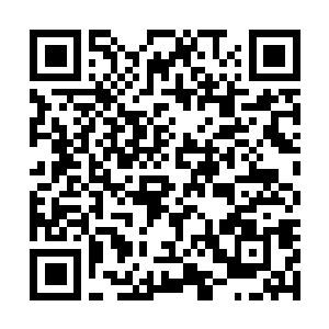 Link naar je actie QRCode - Fondswerving