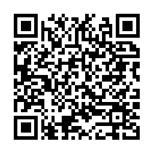 Link naar je actie QRCode - Fondswerving
