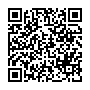 Link naar je actie QRCode - Fondswerving