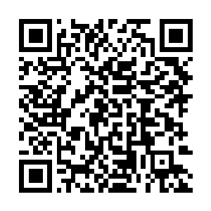 Link naar je actie QRCode - Fondswerving