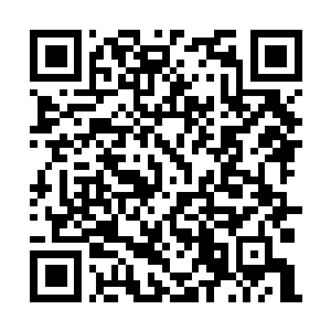 Link naar je actie QRCode - Fondswerving