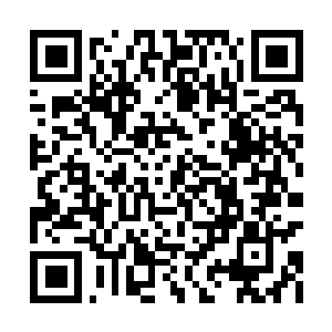 Link naar je actie QRCode - Fondswerving