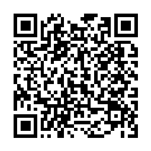 Link naar je actie QRCode - Fondswerving