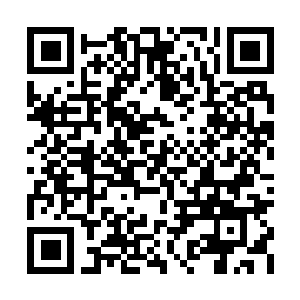 Link naar je actie QRCode - Fondswerving