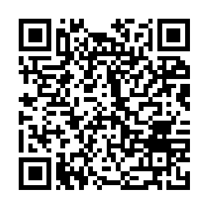 Link naar je actie QRCode - Fondswerving