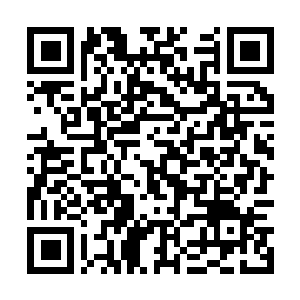 Link naar je actie QRCode - Fondswerving