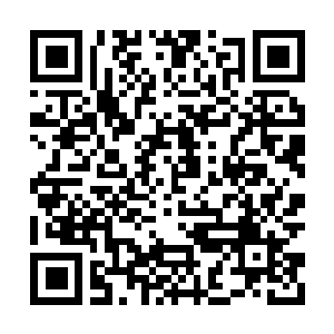Link naar je actie QRCode - Fondswerving