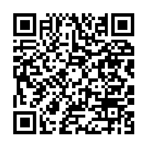 Link naar je actie QRCode - Fondswerving