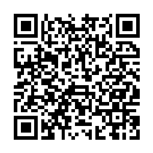 Link naar je actie QRCode - Fondswerving