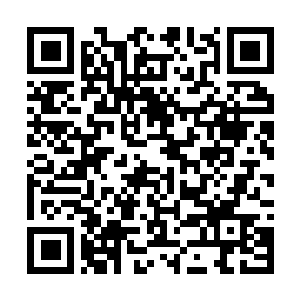 Link naar je actie QRCode - Fondswerving