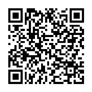 Link naar je actie QRCode - Fondswerving