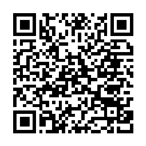Link naar je actie QRCode - Fondswerving